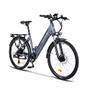E-Bike 26 Zoll