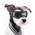 ‎Hundebrille von Namsan