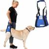 Hundetragehilfe hinten von Nature Pet