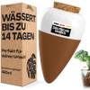 Bewässerungskegel aus Ton von Netrox
