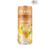 Ingwer-Zitronen-Kombucha von Nexba