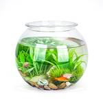 Nobleza Kugelaquarium 4L