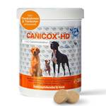 Gelenktabletten für Hunde
