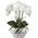 Kunstpflanze Orchideen von Oairse