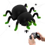 Ferngesteuerte Spinne