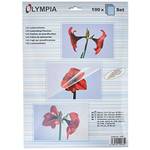 Olympia 9165