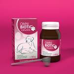 Probiotika Katze