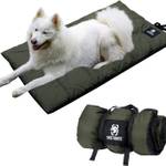 Thermodecke Hund