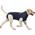 Medical Pet Shirt von MPS