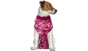 OP-Body Hund