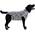 Medical Pet Shirt Hund von MPS