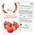 Tomatensamen Mexikanische Honigtomate von OwnGrown