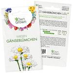 OwnGrown Wiesen-Gänseblümchen-Samen 