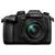Panasonic Lumix DC-GH5