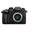 LUMIX GH5 II von Panasonic