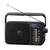 Panasonic RF 2400DEG-K