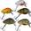 Mini Forellenwobbler von Paradox Fishing