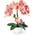 künstliche Orchidee von Pasch