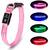 Pumila LED-Hundehalsband