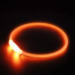 PetIsay LED Leuchthalsband 