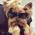 Sonnenbrille für Hunde von PETLESO