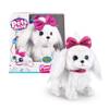 Paw Paw von Pets Alive