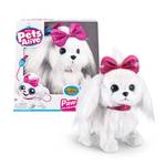 Pets Alive Paw Paw