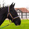Halfter für Pferd Warmblut von Pferdelinis