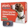 GPS-Tracker für Hund von Pitpatpet