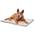 Heizdecke Hund von PiuPet