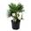 2034191 von Plant in a Box