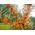 Sanddorn Busch-Baum Friesdorfer Orange von PlantaPro