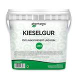 Kieselgur