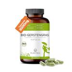 Plantdea Deutsches Bio-Gerstengras