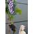 Plantenwelt Regent