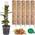 Moosstab von PlantScraper