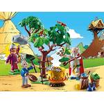 Playmobil Asterix 70933