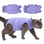 Katzenbody