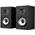 MXT15BK von Polk Audio
