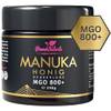 Manuka Honig MGO 550+ von PowerFabrik