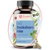 Bockshornklee Kapseln von PregniVital