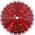 PDX833.800 von Prodiamant