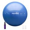 Sitzball von PROIRON