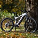 Prophete E-Bike