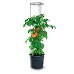 Prosperplast ZA1391
