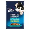 So gut wie es aussieht Thunfisch in Gelee von Felix
