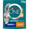 Senior 7+ von Purina