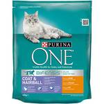 Purina One Coat & Hairball Huhn