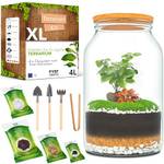 Pyef Crafts Flaschengarten Komplettset XL