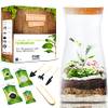 Terrarium Kit von PYEF CRAFTS